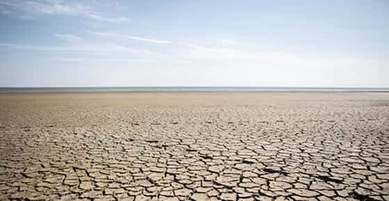 Image of the desert.