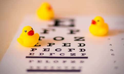 eye chart duck toys eye chart duck toys